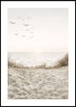 Birds by the Beach Poster